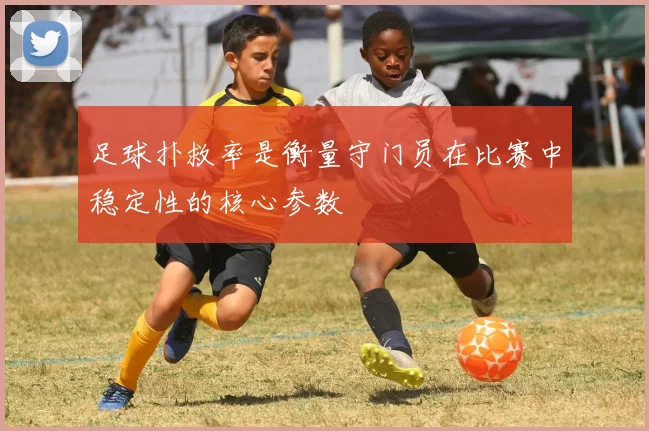 足球扑救率是衡量守门员在比赛中稳定性的核心参数