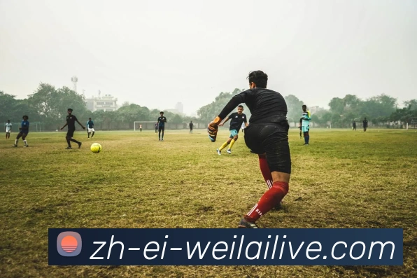 多媒体互动体验