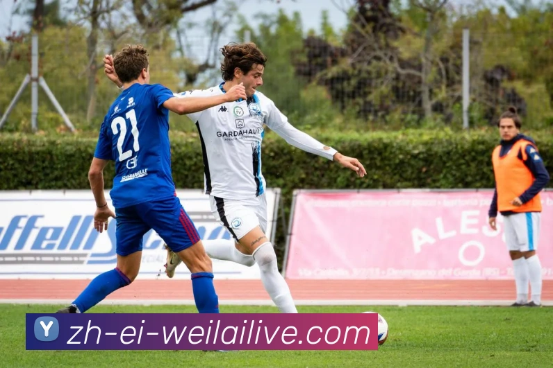 纬来体育APP 体育赛事宣传图